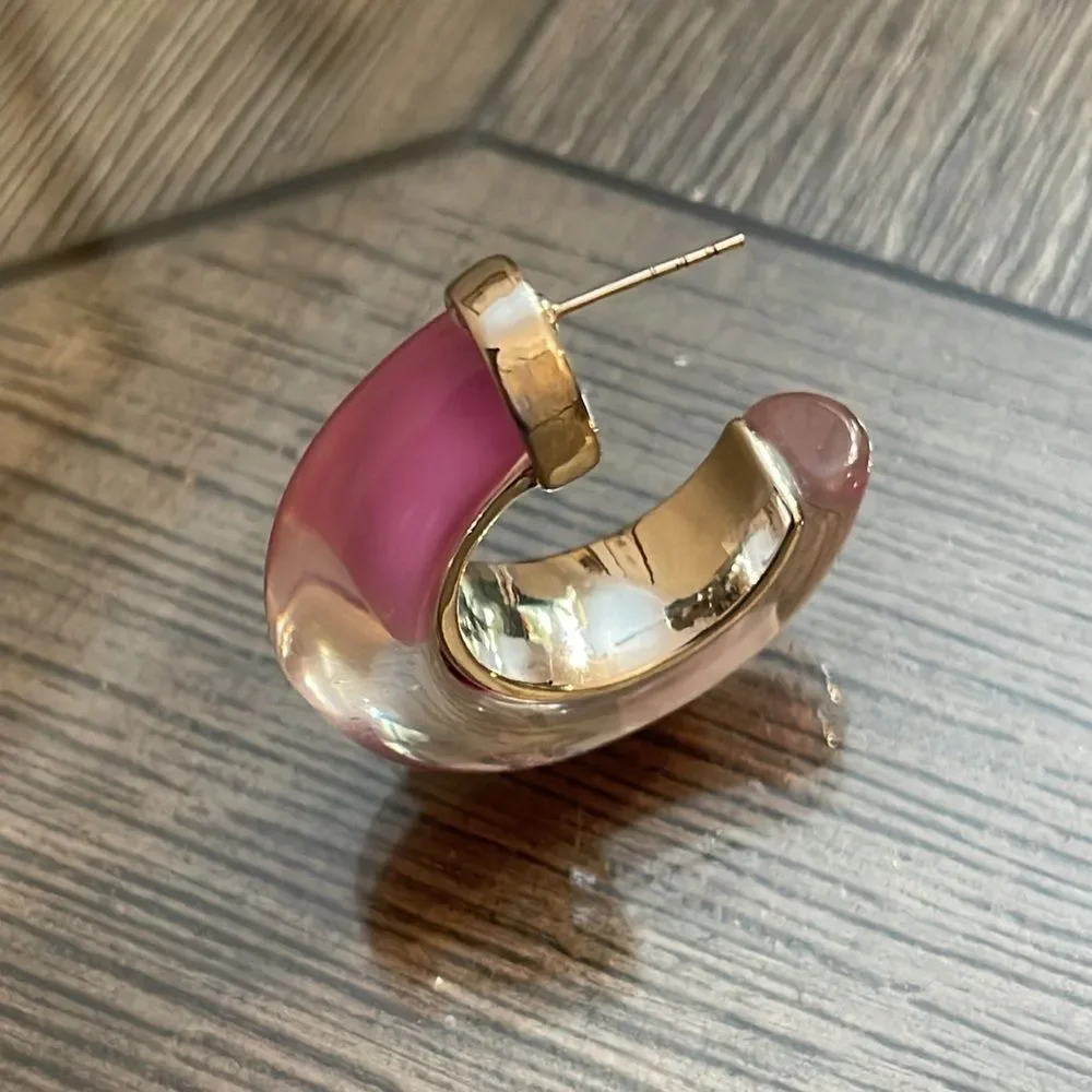 Anthropologie Chunky Resin Hoop Earrings Chic Silver-tone & Purple Lucite Hoop